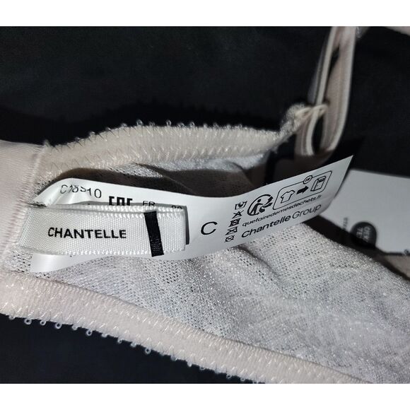 NWT Chantelle Magnifique Seamless Unlined Minimizer Size 34C Bra Blushing Pink - Picture 6 of 7
